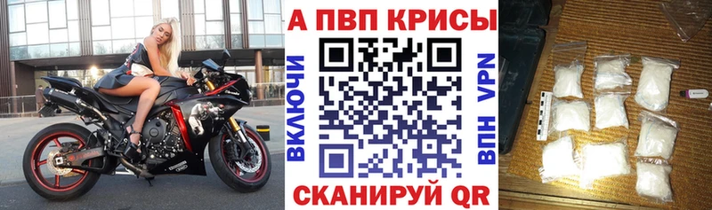 A PVP СК  где найти   Билибино 