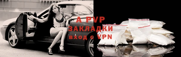 ешки Богданович