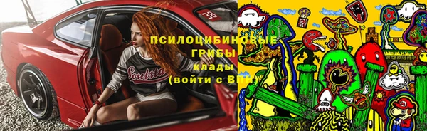 синтетический гашиш Богородицк