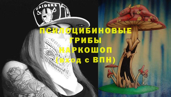 ешки Богданович