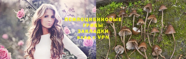 ешки Богданович