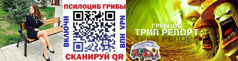 Галлюциногенные грибы мицелий Билибино